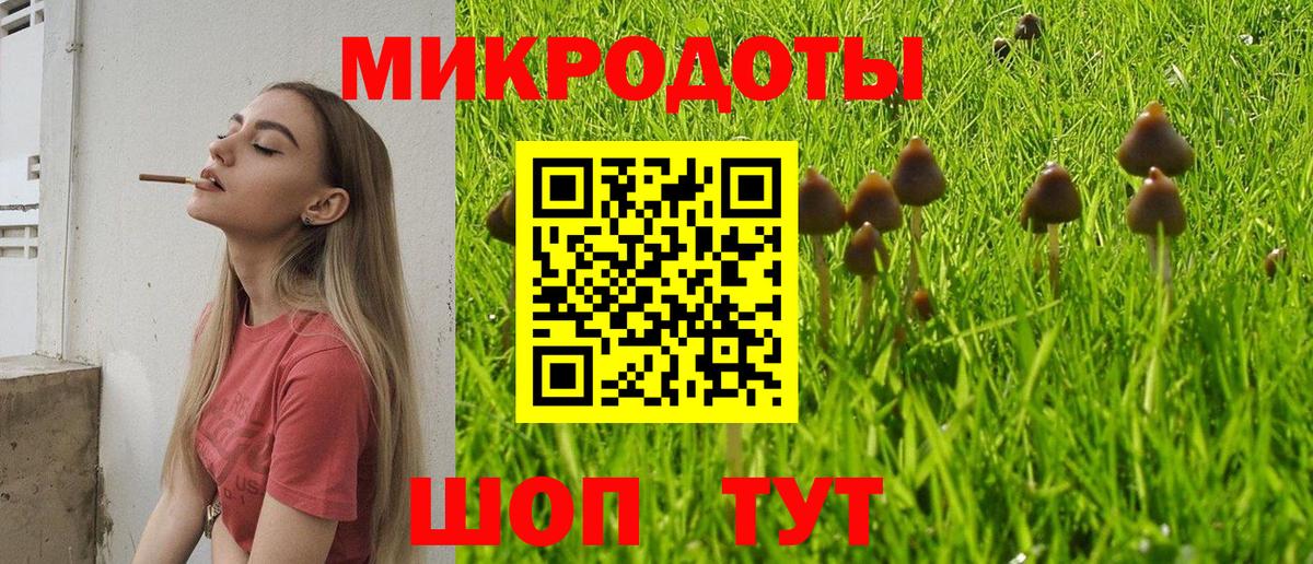 Псилоцибиновые грибы Psilocybine cubensis  Галлюциногенные грибы ЛСД  Вход с VPN  Чехов 