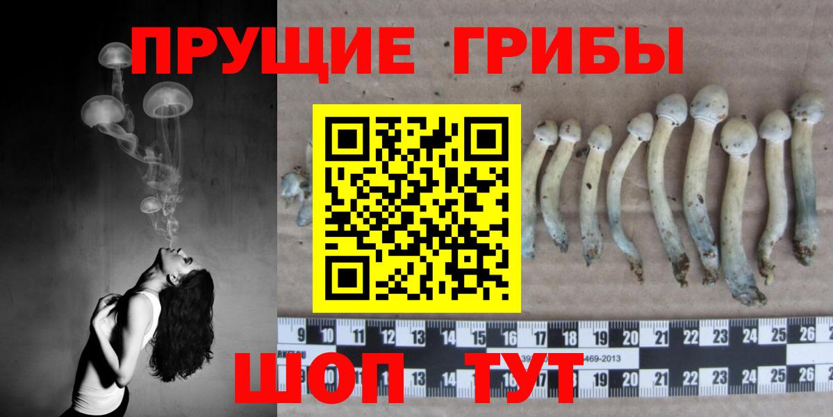 Псилоцибиновые грибы MAGIC MUSHROOMS Чехов