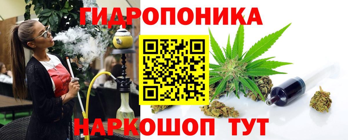 Шишки марихуана OG Kush Чехов